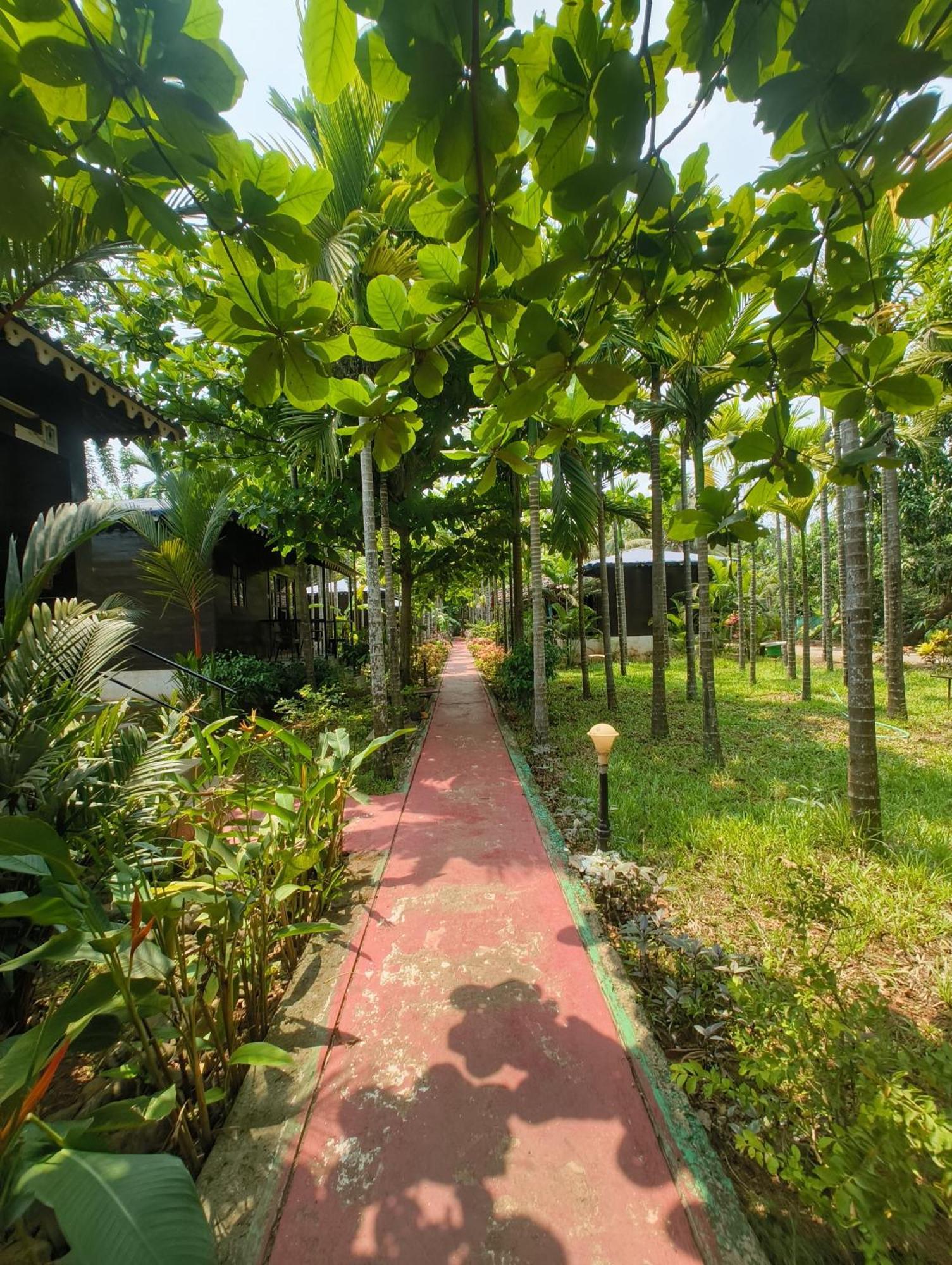 Go Green Spice & Eco Resort Cavelossim Extérieur photo